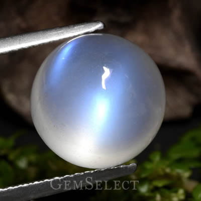 Cabochon di pietra di luna arcobaleno