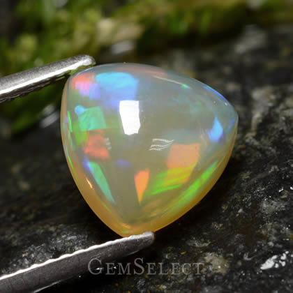 Opal - Sensitive but Popular