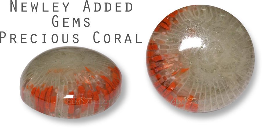 A Precious Coral Gemstone from GemSelect