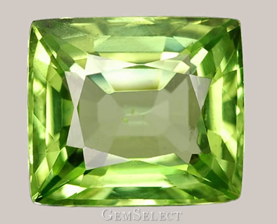 Burmese Peridot Gemstone