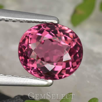 Tourmaline rose populaire