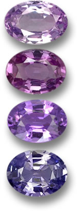 Gemmes de saphir violet et violet