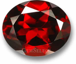 Lull spansk Anemone fisk Red Gemstones: List of Red Precious & Semi-Precious Gems - GemSelect