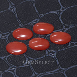 Cabochons de corail précieux