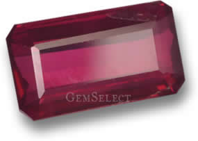 Red Gem Names 2024 citybeef