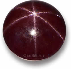 Star Garnet Gemstone