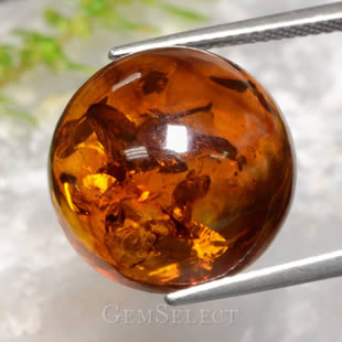 Cabochon Ambre Rond