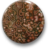 Round Jasper Cabochon