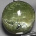 Serpentine Gemstone