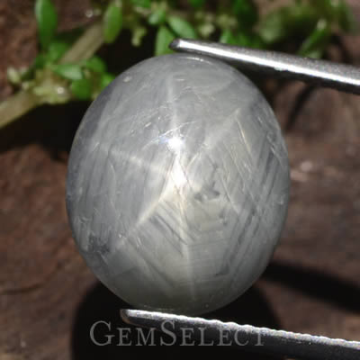 Zaffiro stellato grigio-argento che mostra rutilo