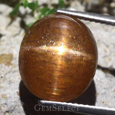 Star Sunstone with Spangled Inclusions