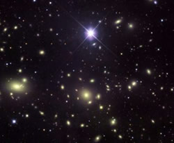 Bright Stars in the Night Sky