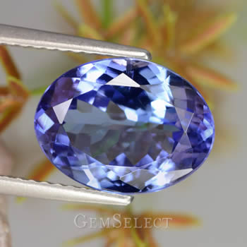 Pierre précieuse de tanzanite