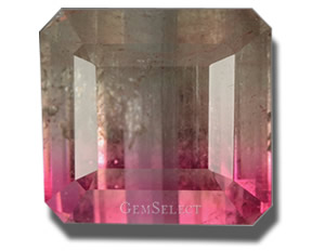 Faceted Tourmaline with Visible Inclusions