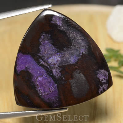 Trillion Shape - Plain Cut Sugilite