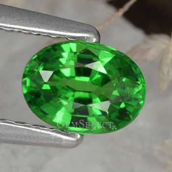 Rare Tsavorite Garnet