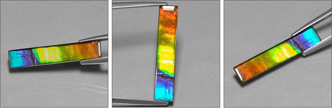 Ammolite from Alberta, Canada