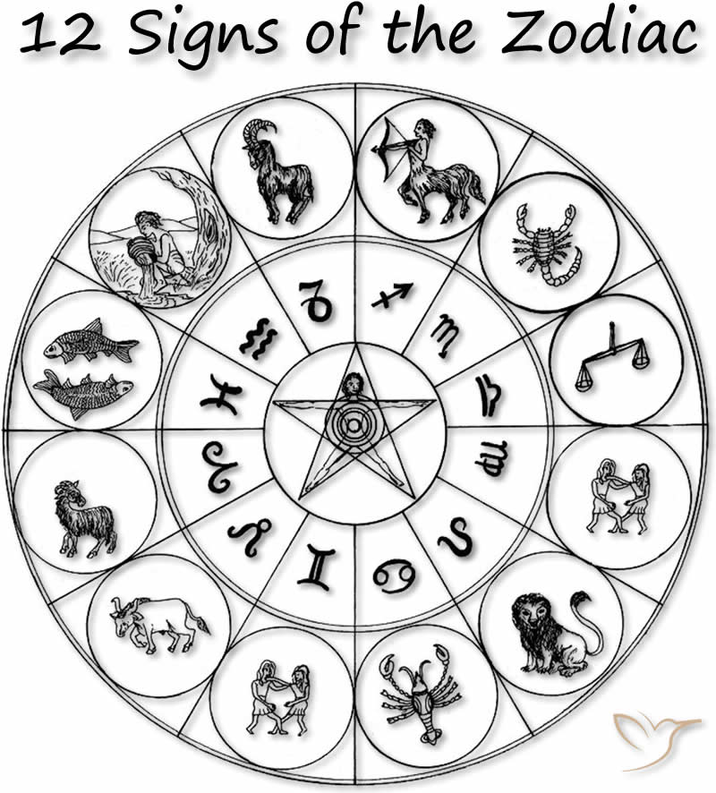 12 zodiac signs