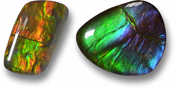 Loose Ammolite for sale