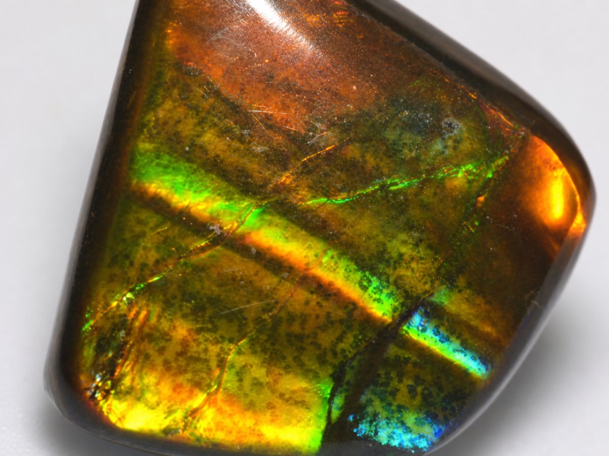 Close-up view of natural Ammolite gemstones