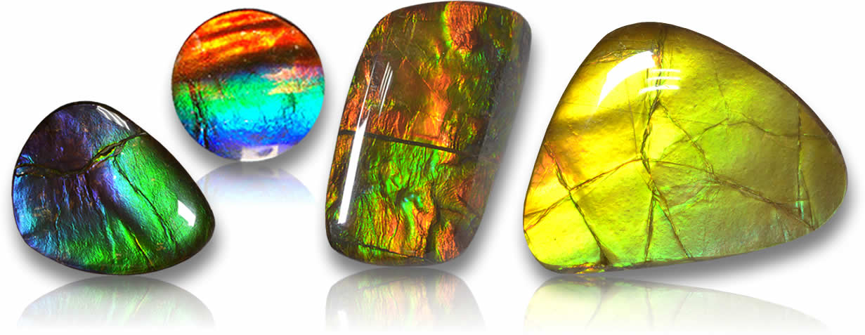 Ammolite cabochon for Sale