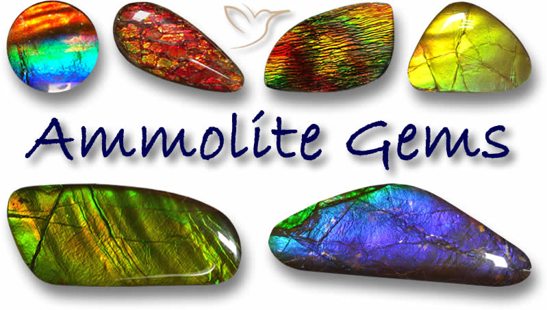 Shop Ammolite Gemstones