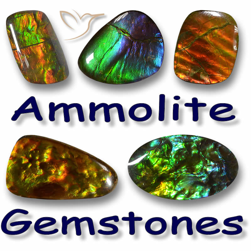 Ammolite - The Rainbow Colored Gemstone – KORITE