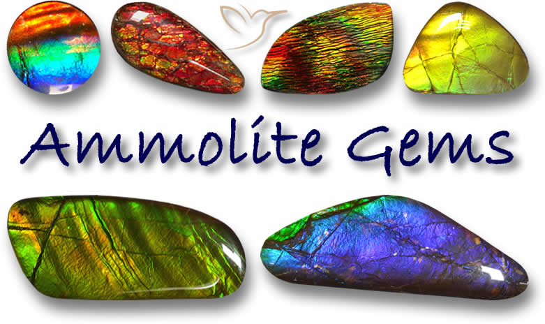 Shop Ammolite