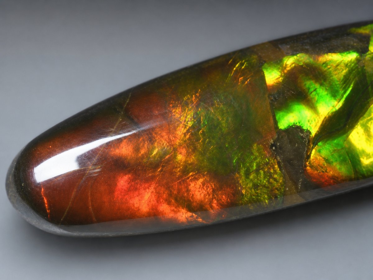 Close-up view of natural Ammolite gemstones