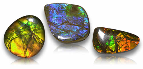 Ammolite Gemstones