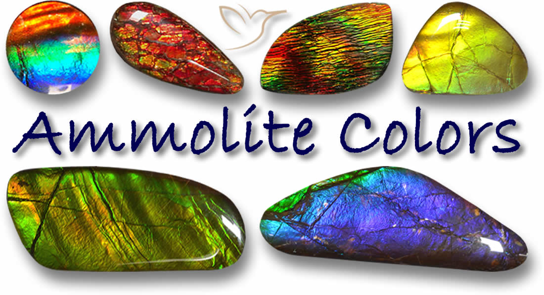 Shop Ammolite