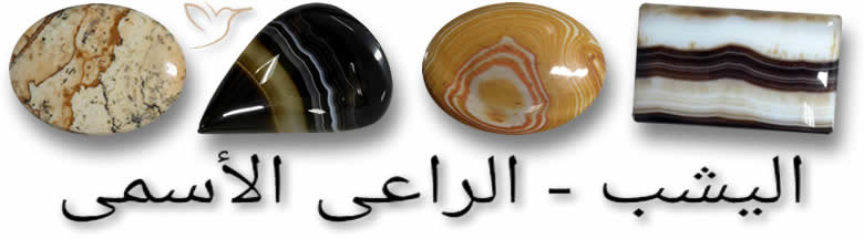 يشب طبيعى