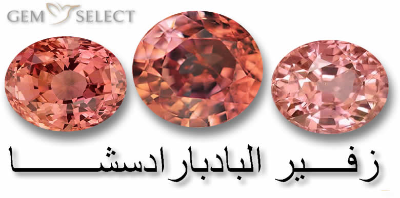 زفير بادبارادسشا