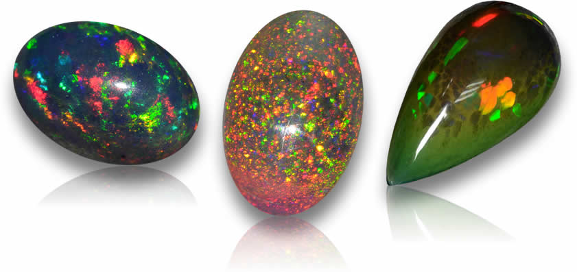 Black Opal for sale