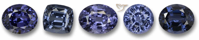 spinello blu