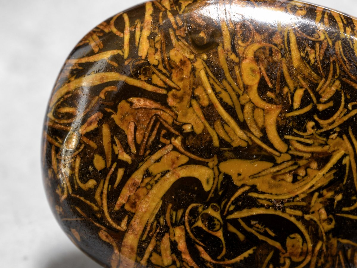 Close-up view of natural Brown Jasper gemstones
