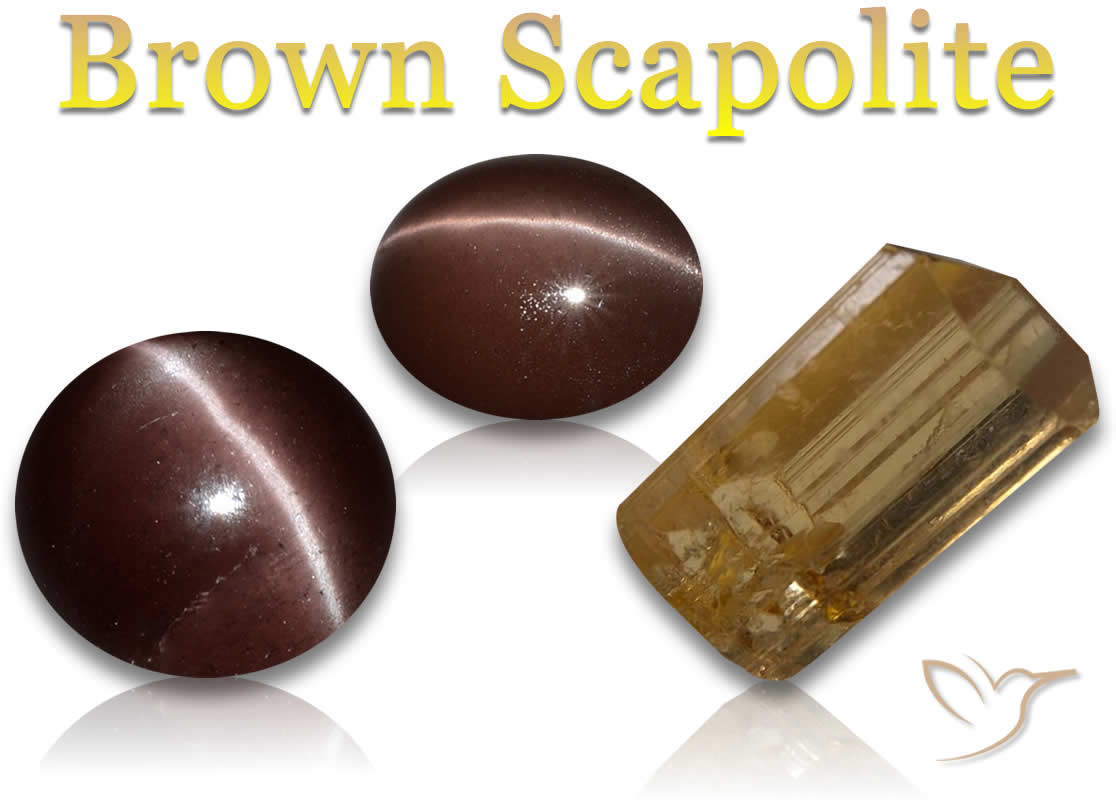 Buy Brown Scapolite