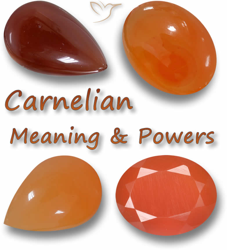 Update 77+ carnelian bracelet meaning super hot - in.duhocakina