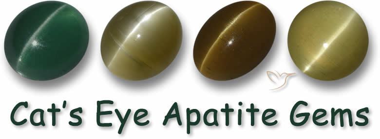 Cat's Eye Apatite Gemstones