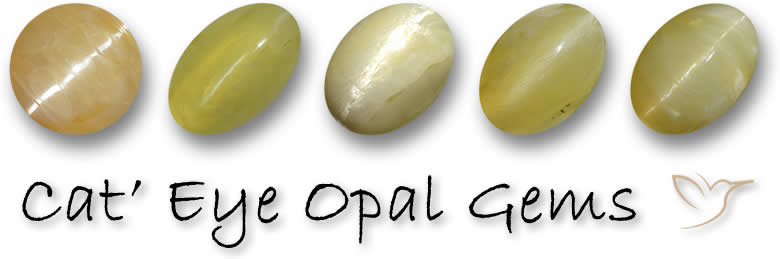 Cat's Eye Opal Edelsteine kaufen
