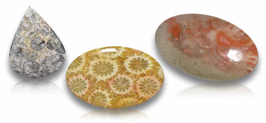 Piedras preciosas de coral