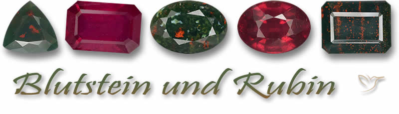 Blutstein und Rubin