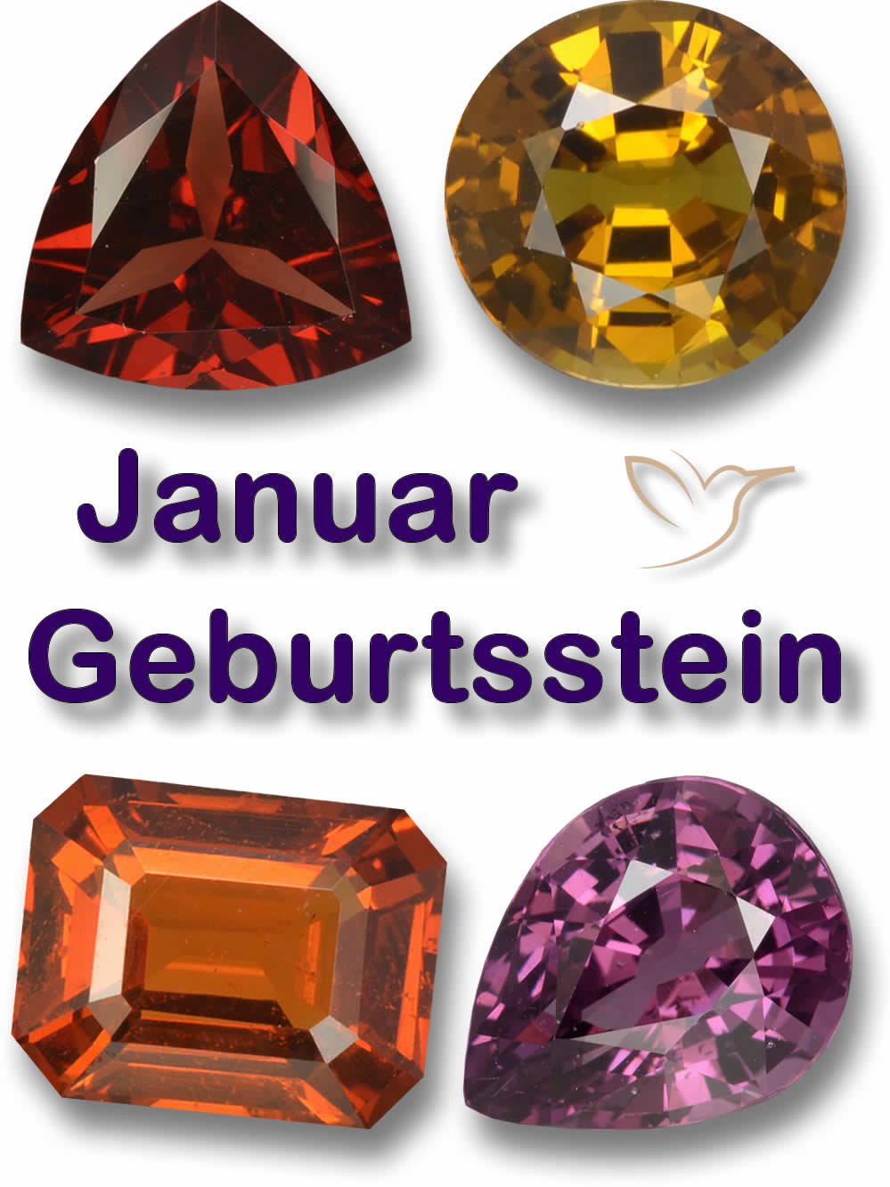 Januar-Geburtssteine bei GemSelect