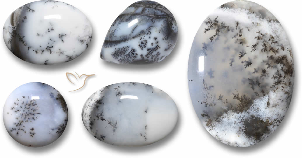 Dendritic Agate