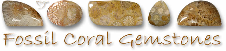 Fossil Coral Gemstones