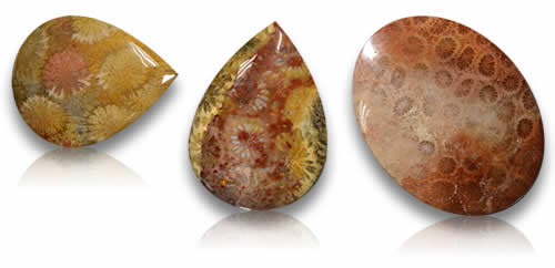 Fossil Coral Gemstones