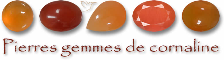 Pierres gemmes de cornaline