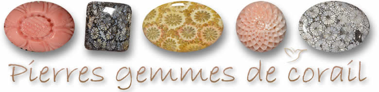 Pierres gemmes de corail