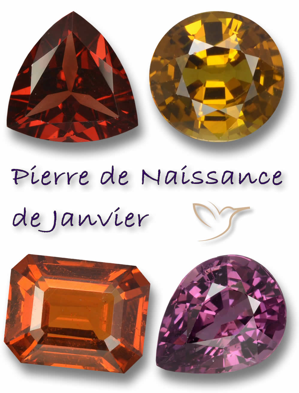 Pierres de naissance de janvier chez GemSelect