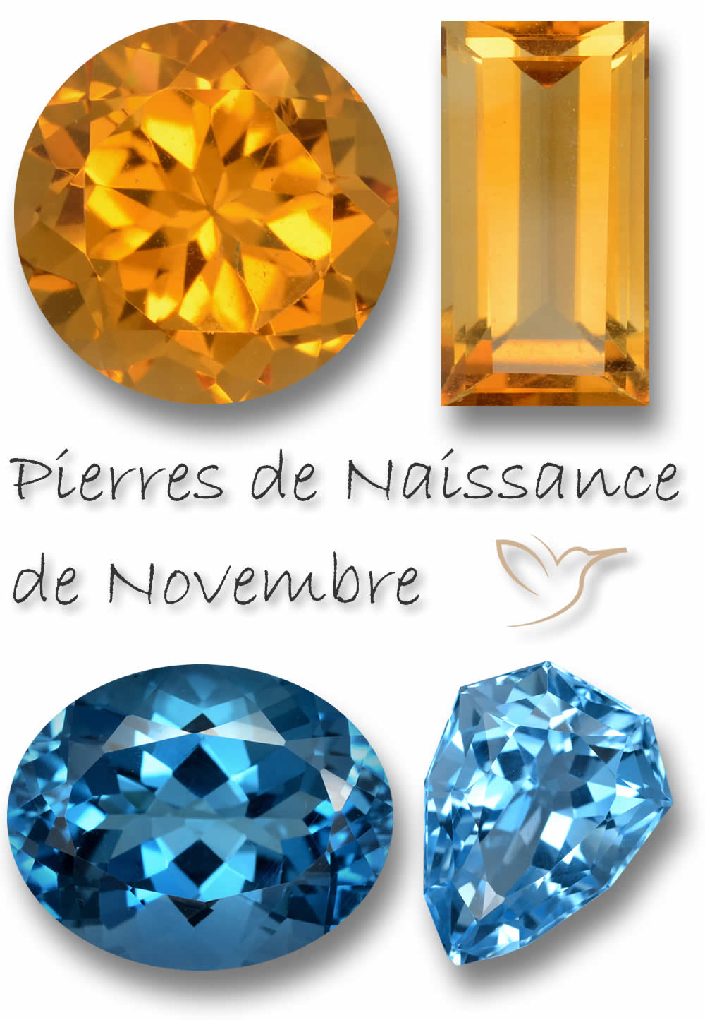 Pierres de naissance de novembre chez GemSelect